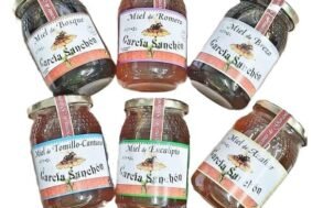 Miel Garcia Sanchón de Azahar 500gr