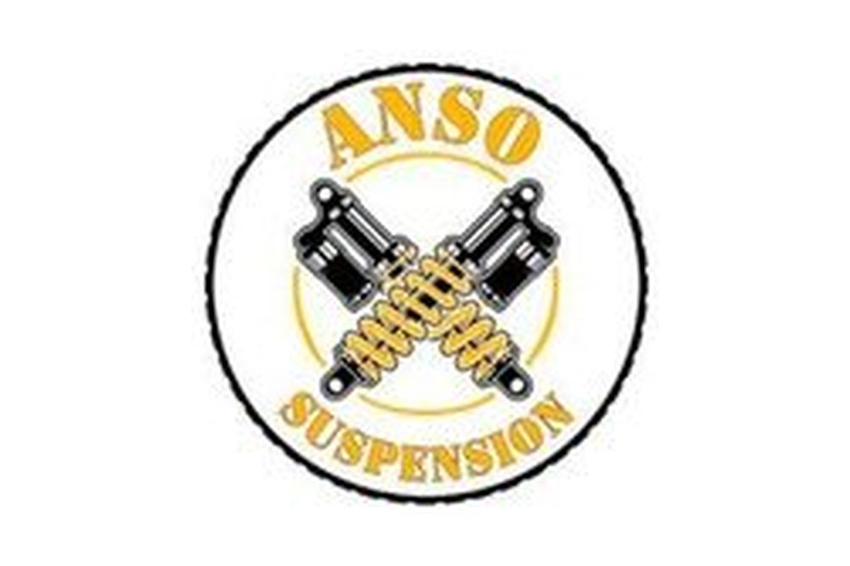 ANSO