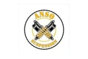 #ANSO